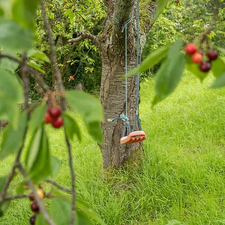 度假居 4 Bed In Routenbeck Sz405 巴森斯怀特湖站