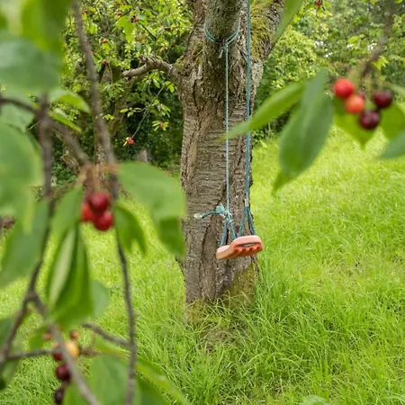 4 Bed In Routenbeck Sz405 *